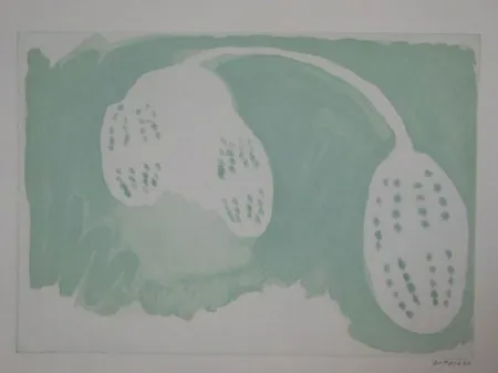 Água-Forte Gordillo - S/T