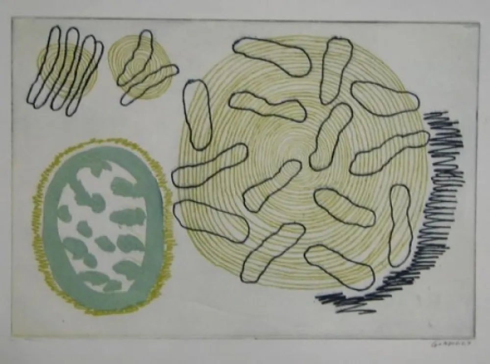 Água-Forte Gordillo - S/T