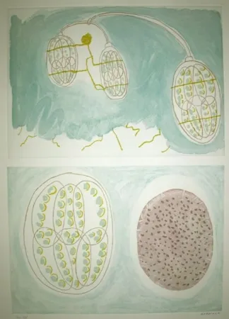 Água-Forte Gordillo - S/T