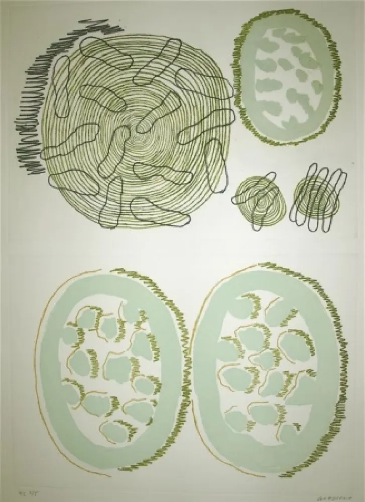 Água-Forte Gordillo - S/T