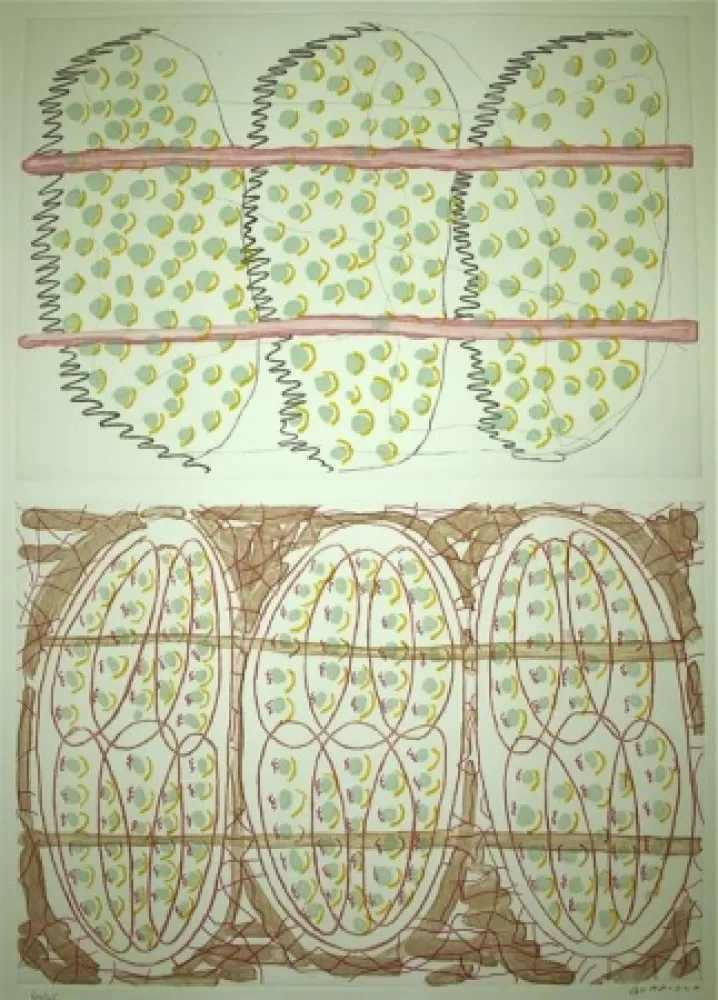 Água-Forte Gordillo - S/T