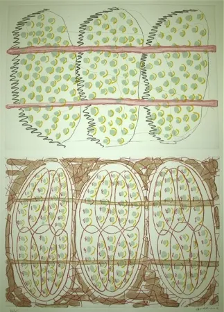 Água-Forte Gordillo - S/T