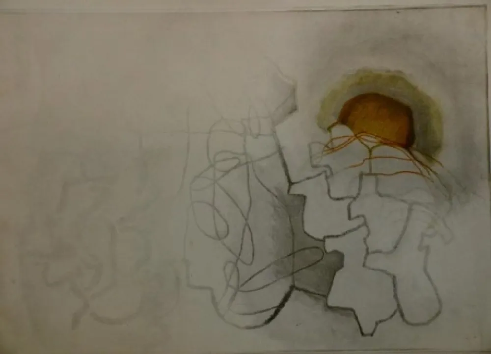 Água-Forte Gordillo - S/T