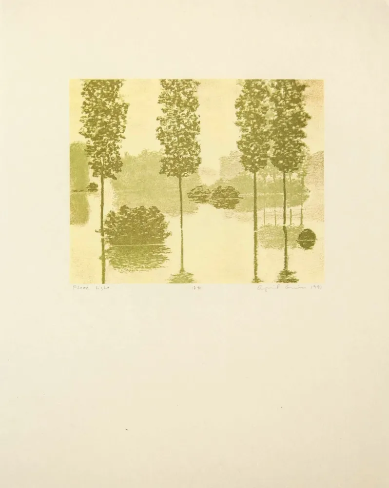 Relevo Gornick - Flood Light, from Art Pro-Choice II