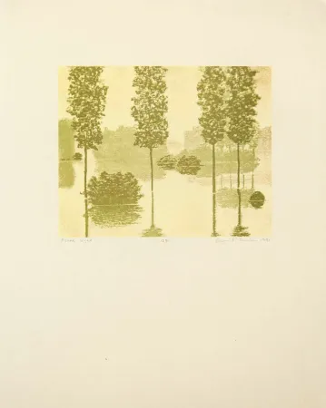Relevo Gornick - Flood Light, from Art Pro-Choice II