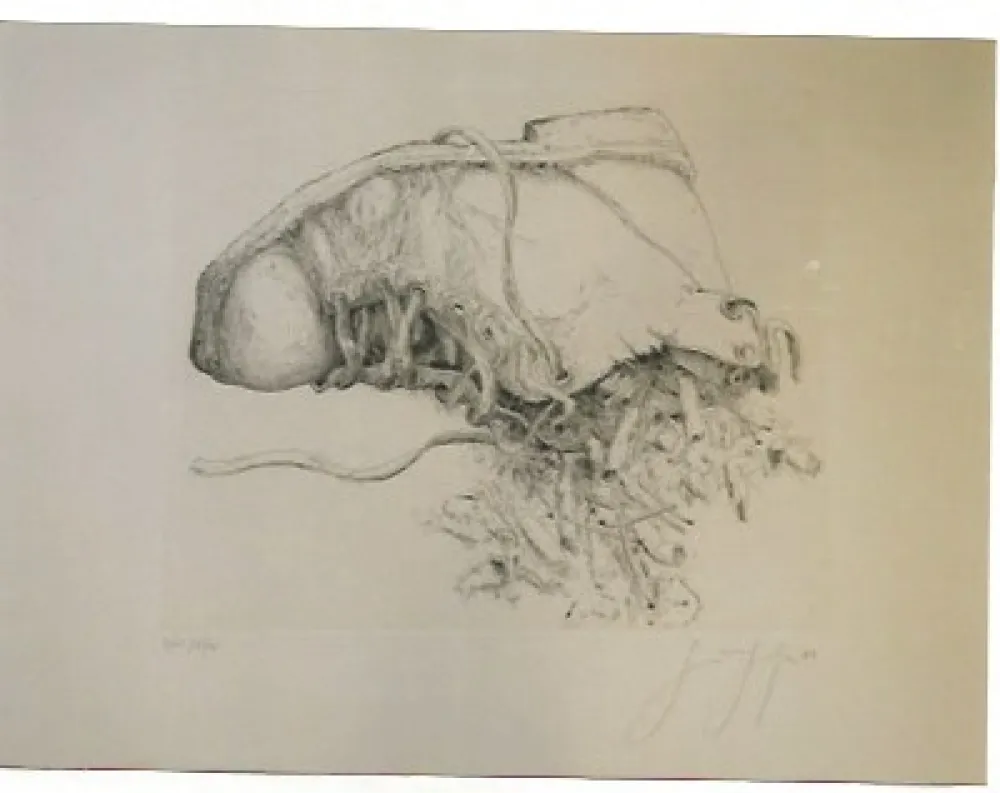 Gravura Grass - Kippen and Schun