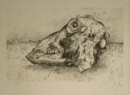 Litografia Grass - Schafskopf.