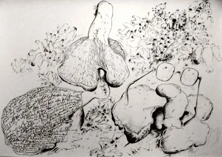 Litografia Grass - Senza titolo