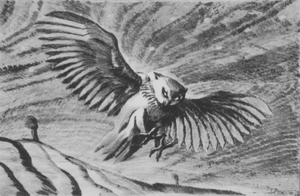 Ponta-Seca Grasselli - Verso la notte