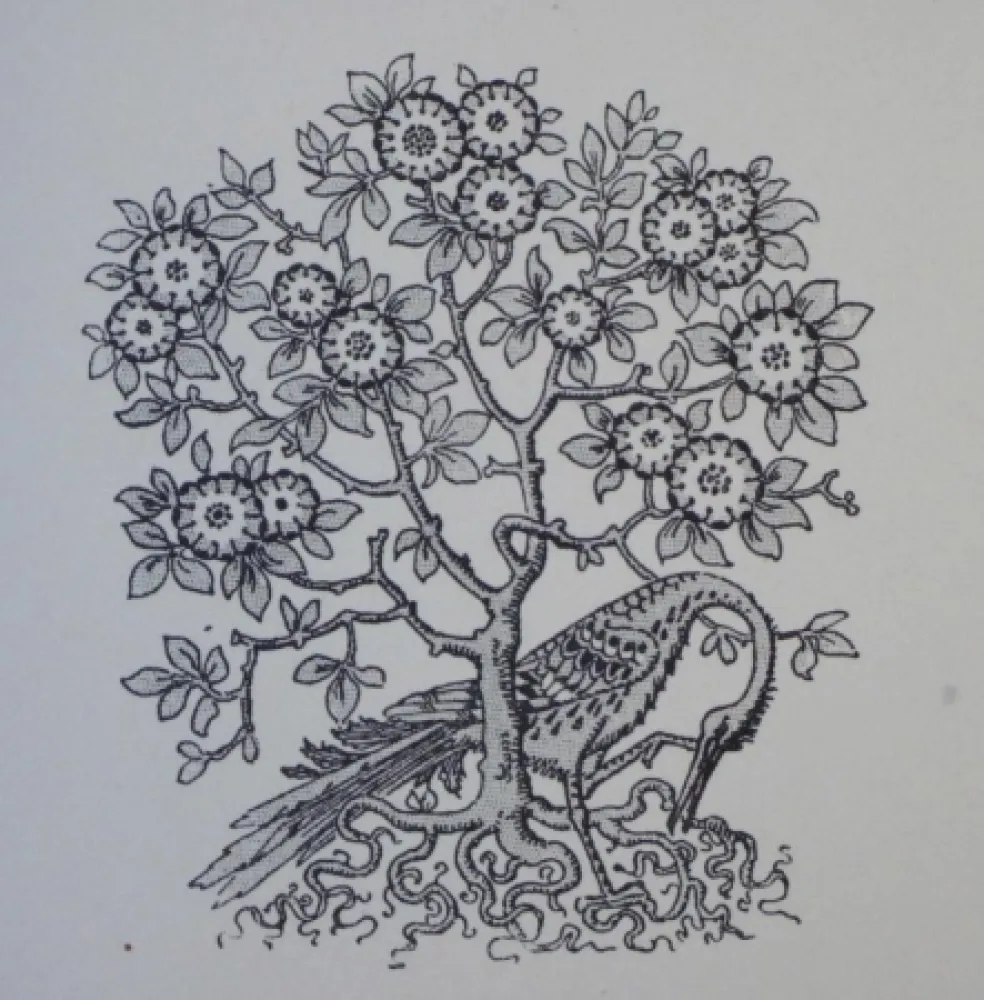 Xilogravura Grasset - Ornements typographiques