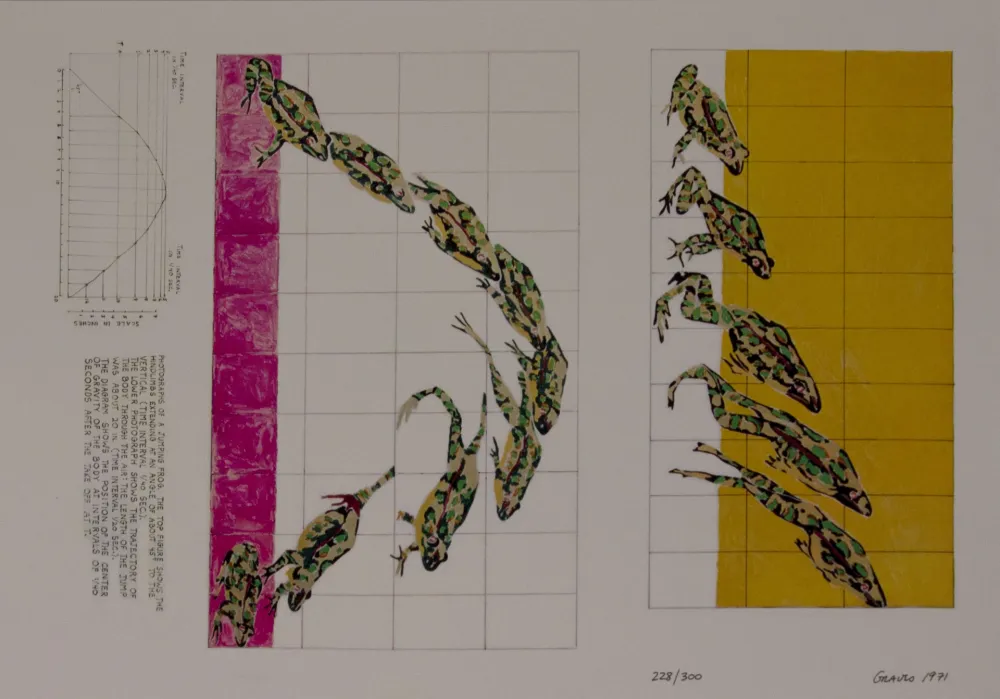 Serigrafia Graves - Untitled