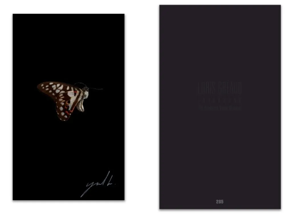 Livro Ilustrado Greaud - L'art en écrit