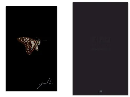 Livro Ilustrado Greaud - L'art en écrit