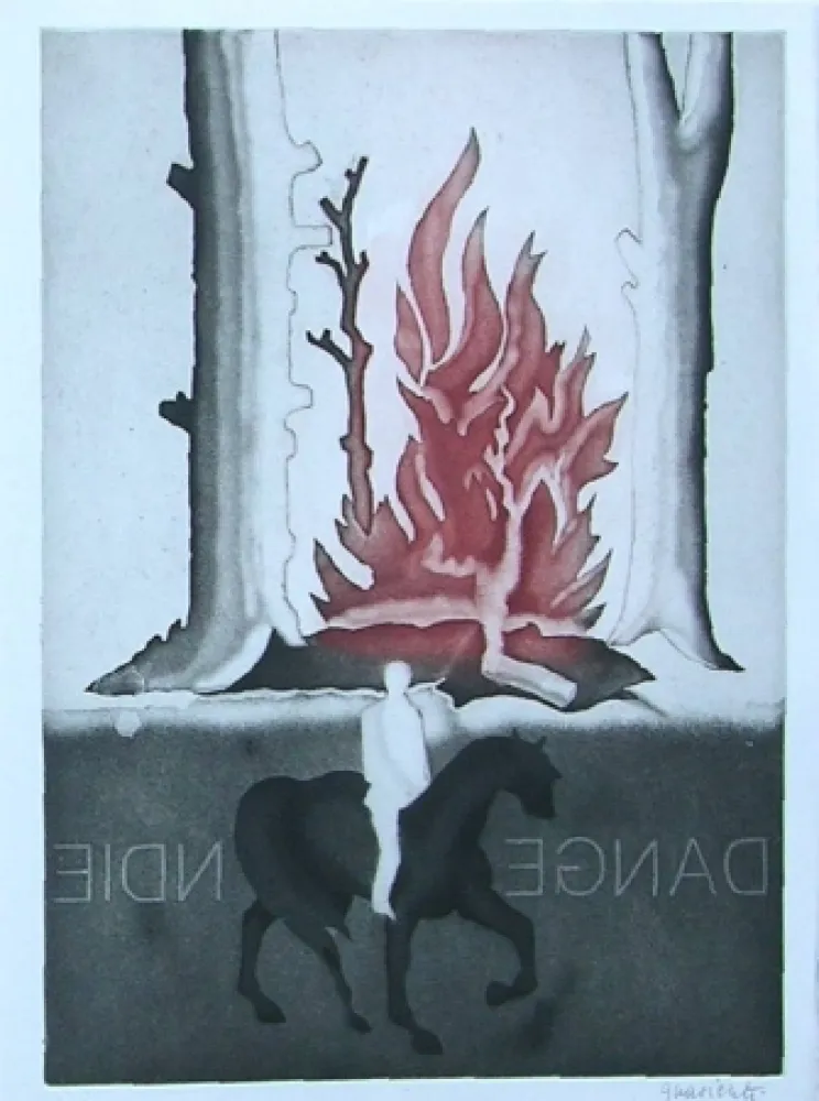 Livro Ilustrado Guarienti - Crachefeu