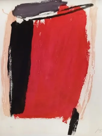 Água-Tinta Guerrero - New York- Madrid