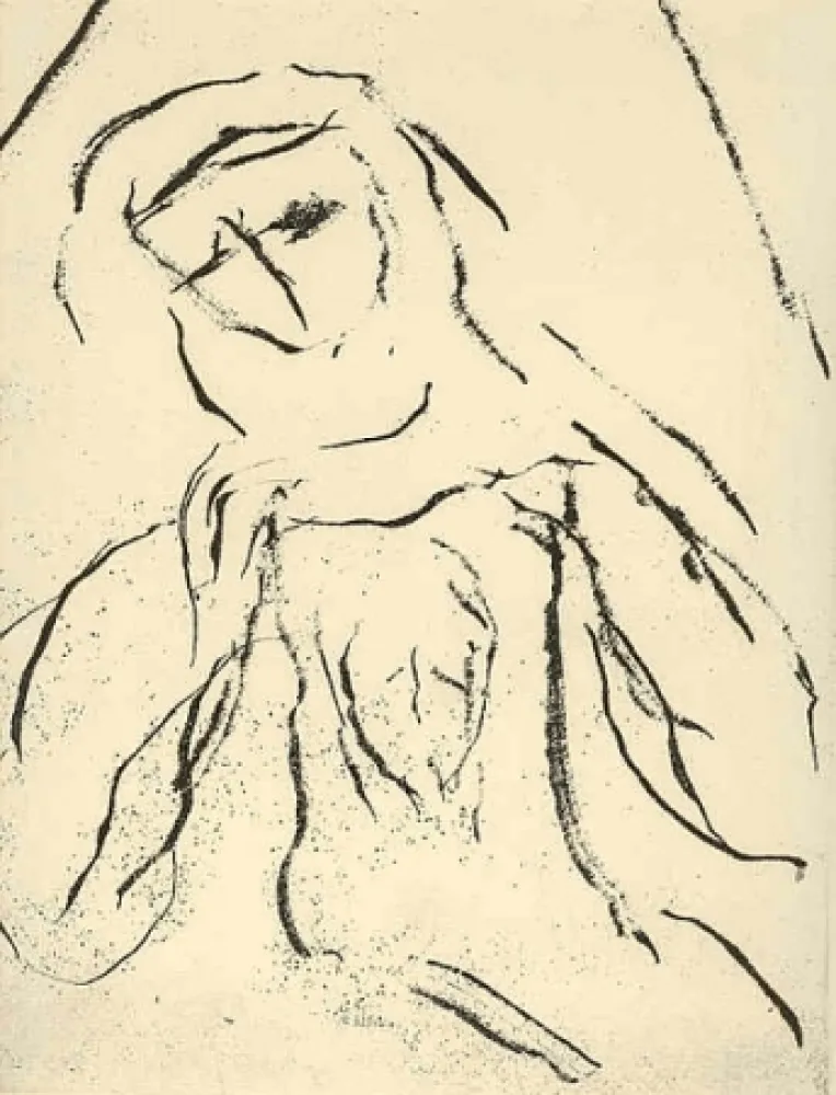 Livro Ilustrado Guidi - Le voile de Véronique