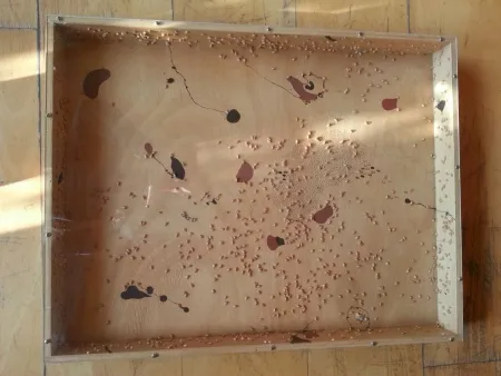 Sem Técnica Guinovart - Blat i coses 8