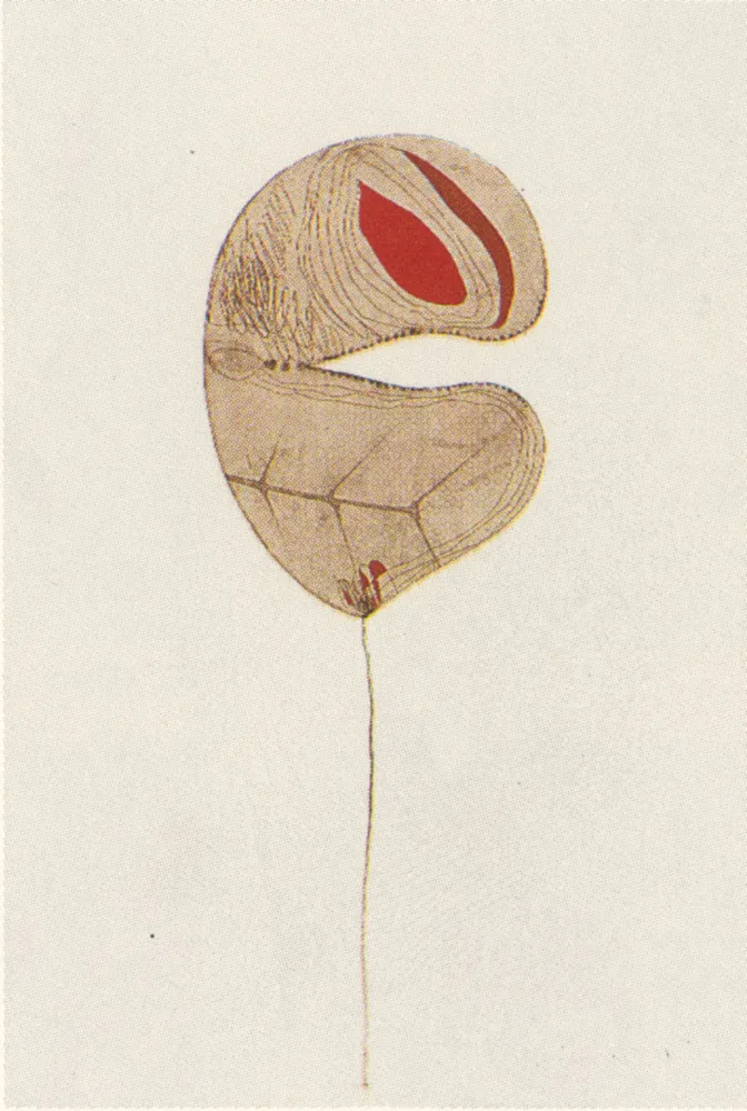 Múltiplo Guinovart - Fulles-6