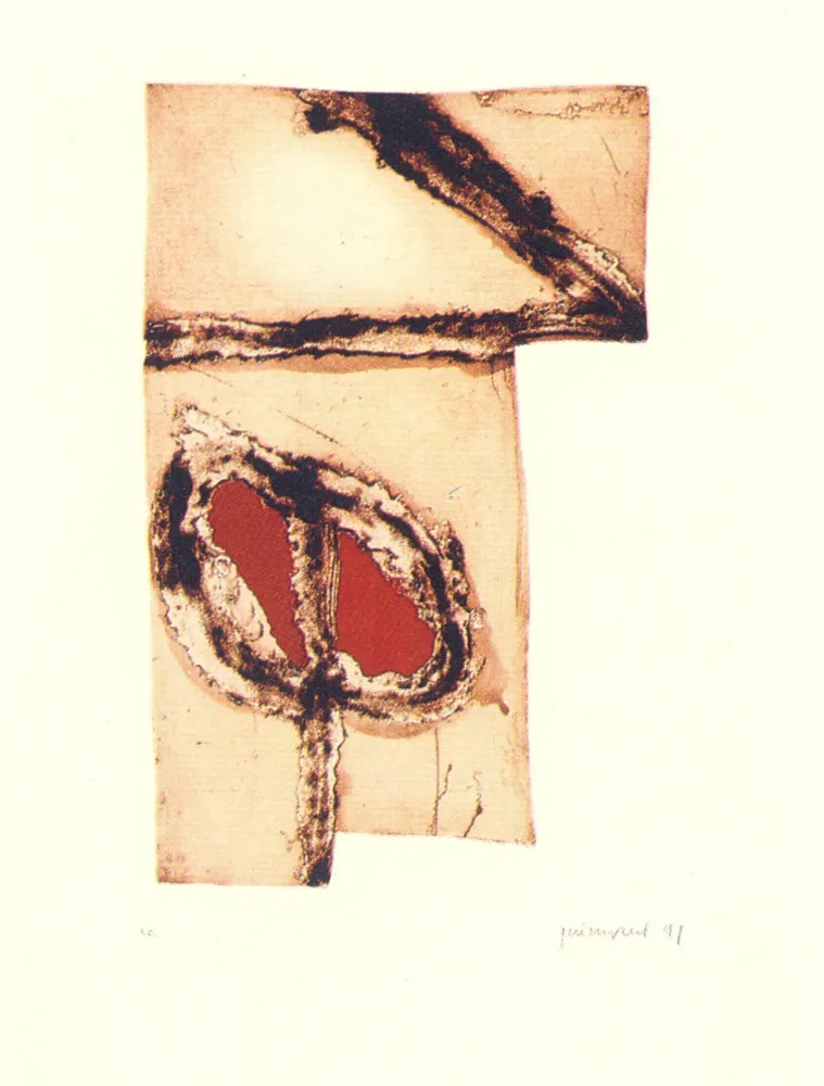 Múltiplo Guinovart - Imatges i terra-5