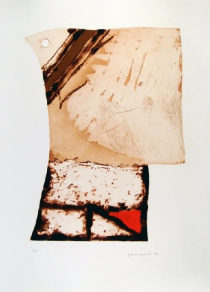 Água-Forte Guinovart - Imatges i Terra III