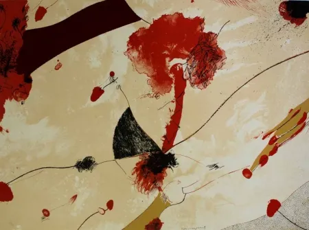 Litografia Guinovart - Natu