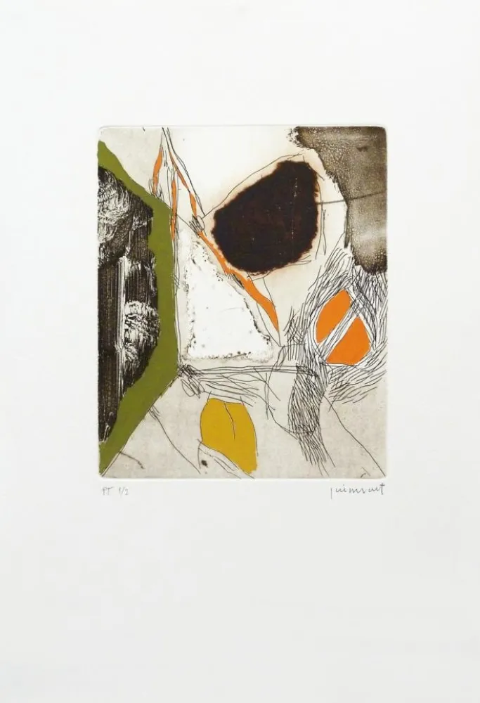 Água-Forte Guinovart - Sèpia 2