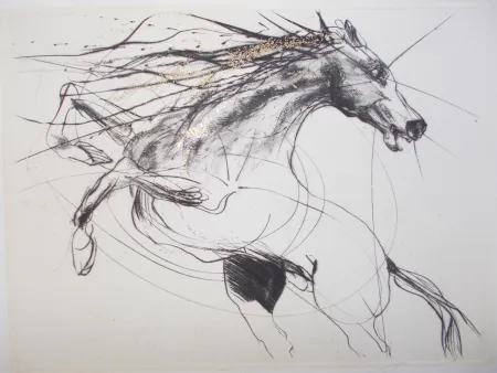 Gravura Guiny - Etalon III