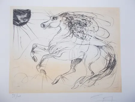 Gravura Guiny - Rocus