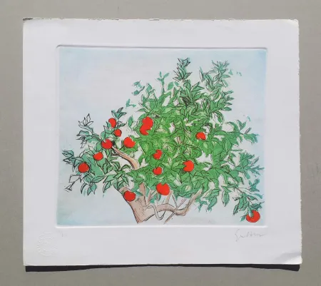 Água-Forte E Água-Tinta Guttuso - Agrumeto