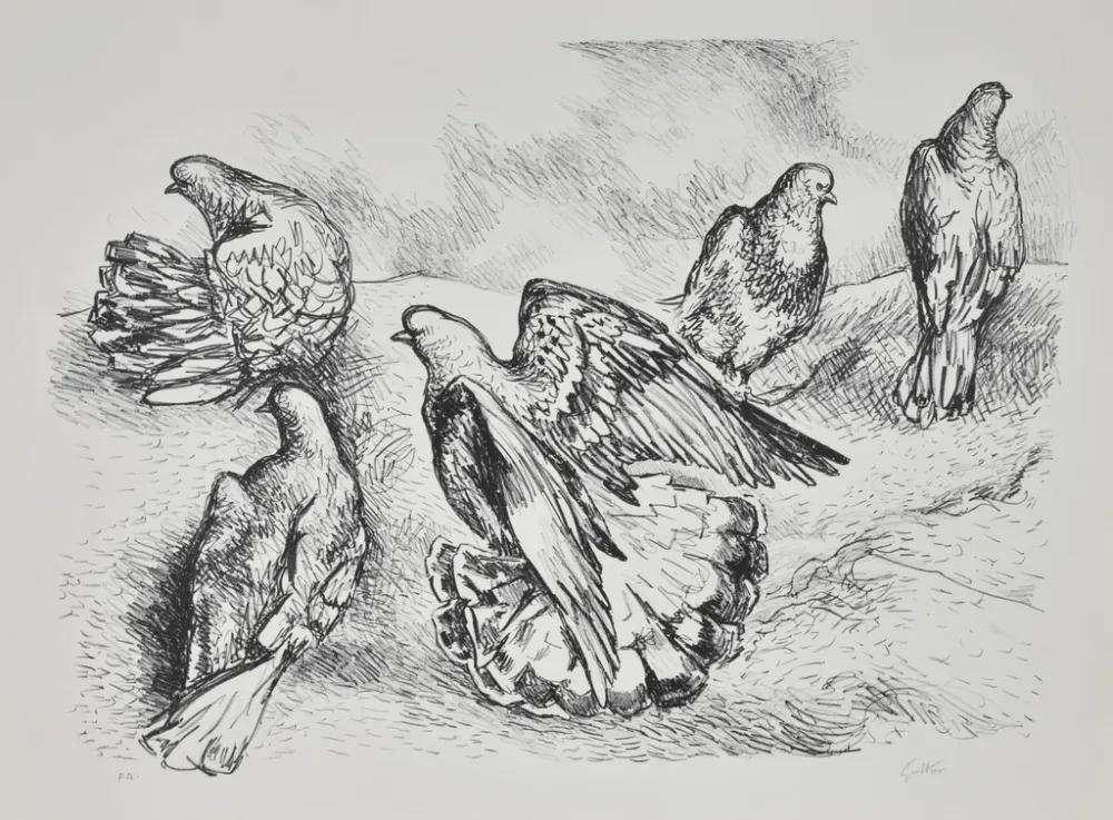 Litografia Guttuso - Colombe