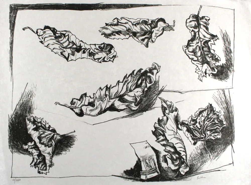 Litografia Guttuso - Foglie