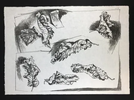 Litografia Guttuso - Foglie