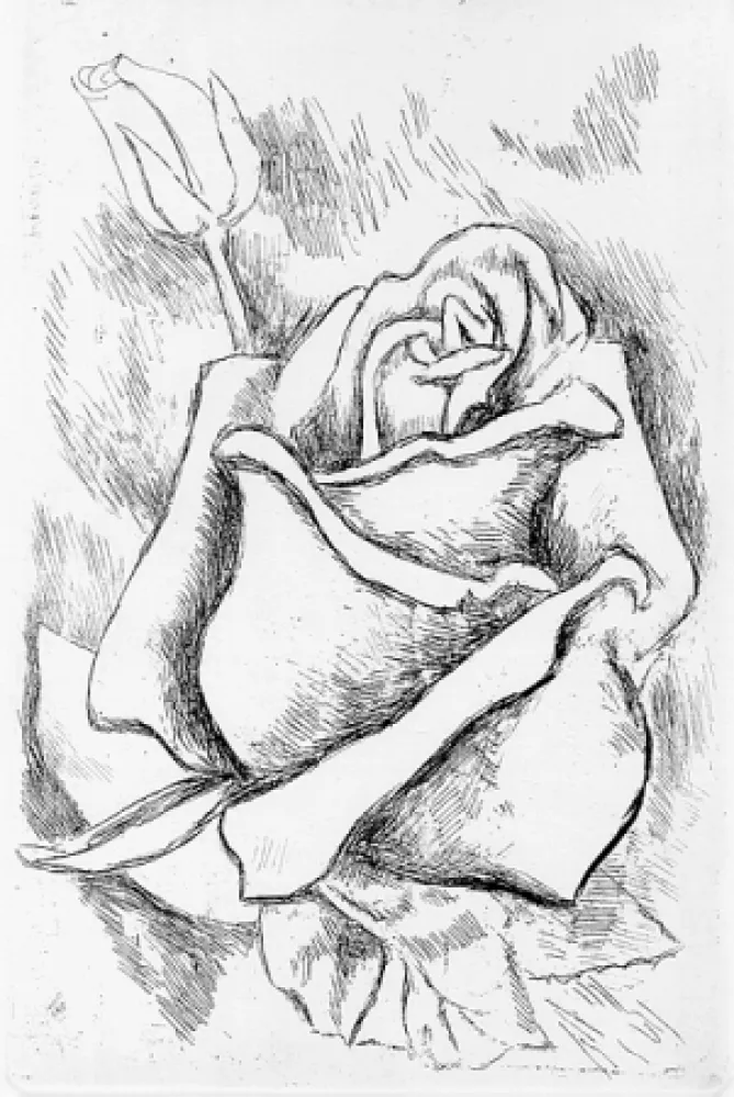 Livro Ilustrado Guttuso - Gli anni delle immagini perdute