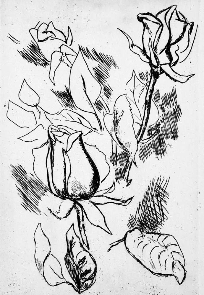 Livro Ilustrado Guttuso - Gli anni delle immagini perdute