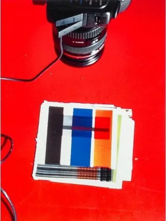 Múltiplo Guyton - IMG_1919