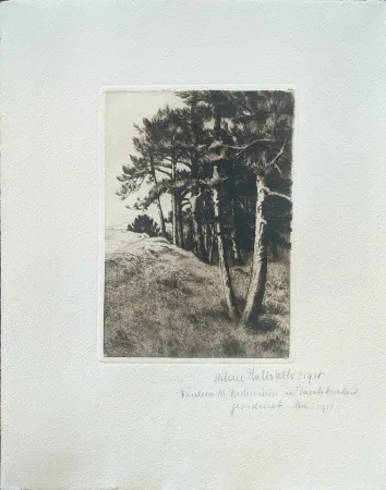 Ponta-Seca Haasbauer-Wallrath - Untitled (Kiefern am Waldrand)