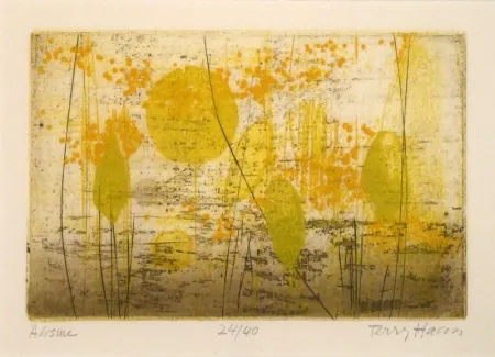 Gravura Haass - Alisme