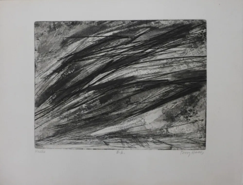 Água-Forte Haass - Composition