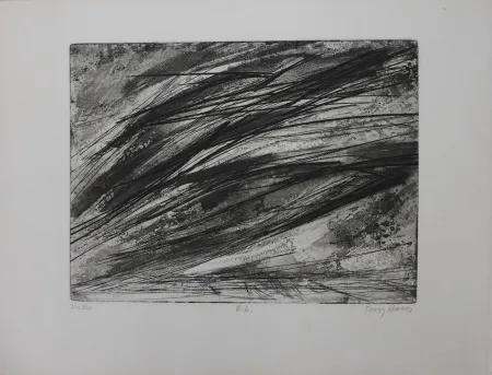 Água-Forte Haass - Composition