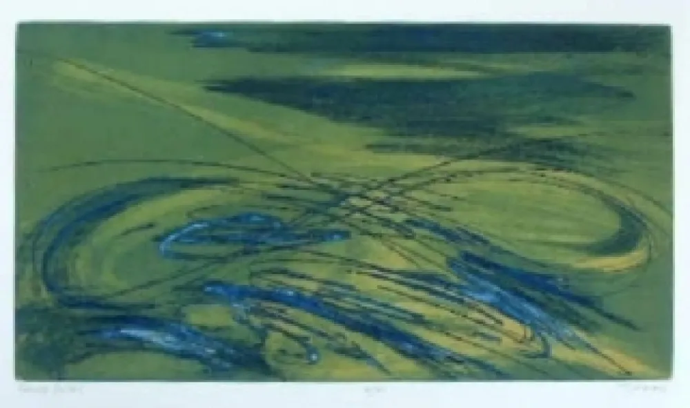 Água-Tinta Haass - Fluide astral