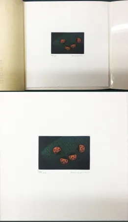 Meio-Tom Hamaguchi - Two Pairs (Ladybirds). signed. with the original book (1976)