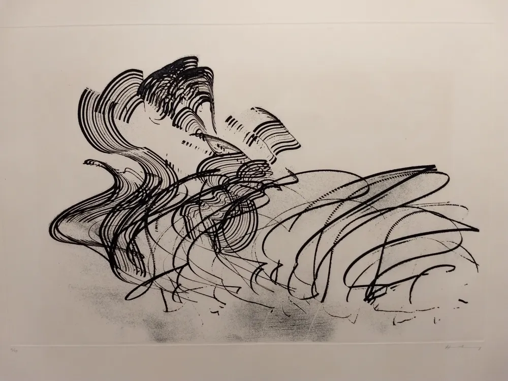 Água-Forte Hartung - Aguafuertes