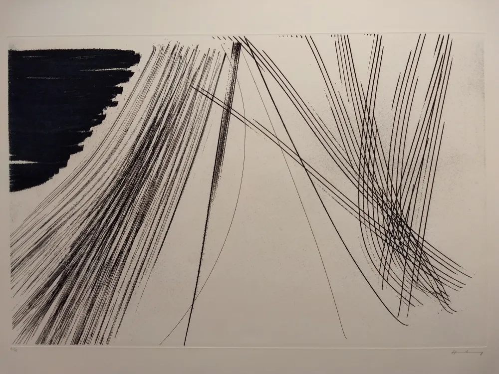 Água-Forte Hartung - Aguafuertes