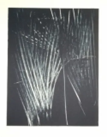 Litografia Hartung - AL 5