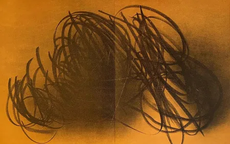 Litografia Hartung - Farandole