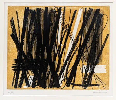 Água-Forte E Água-Tinta Hartung - G5