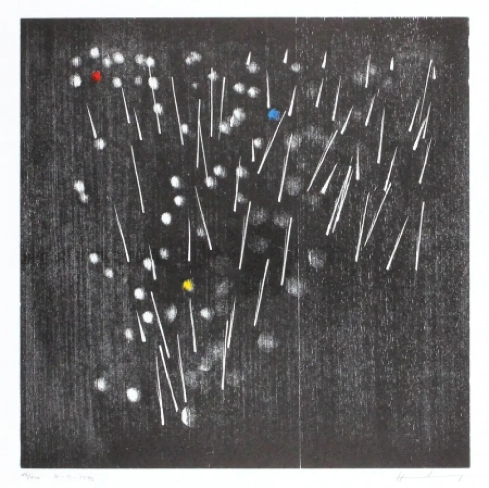 Xilogravura Hartung - H-13-1973