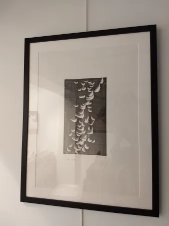 Litografia Hartung - H14