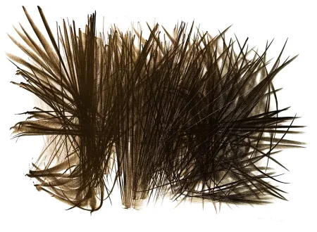 Litografia Hartung - L 108