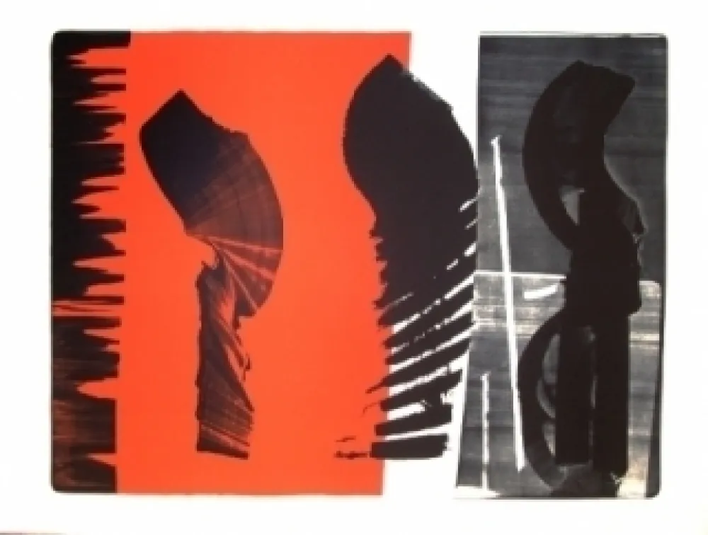 Litografia Hartung - L-14